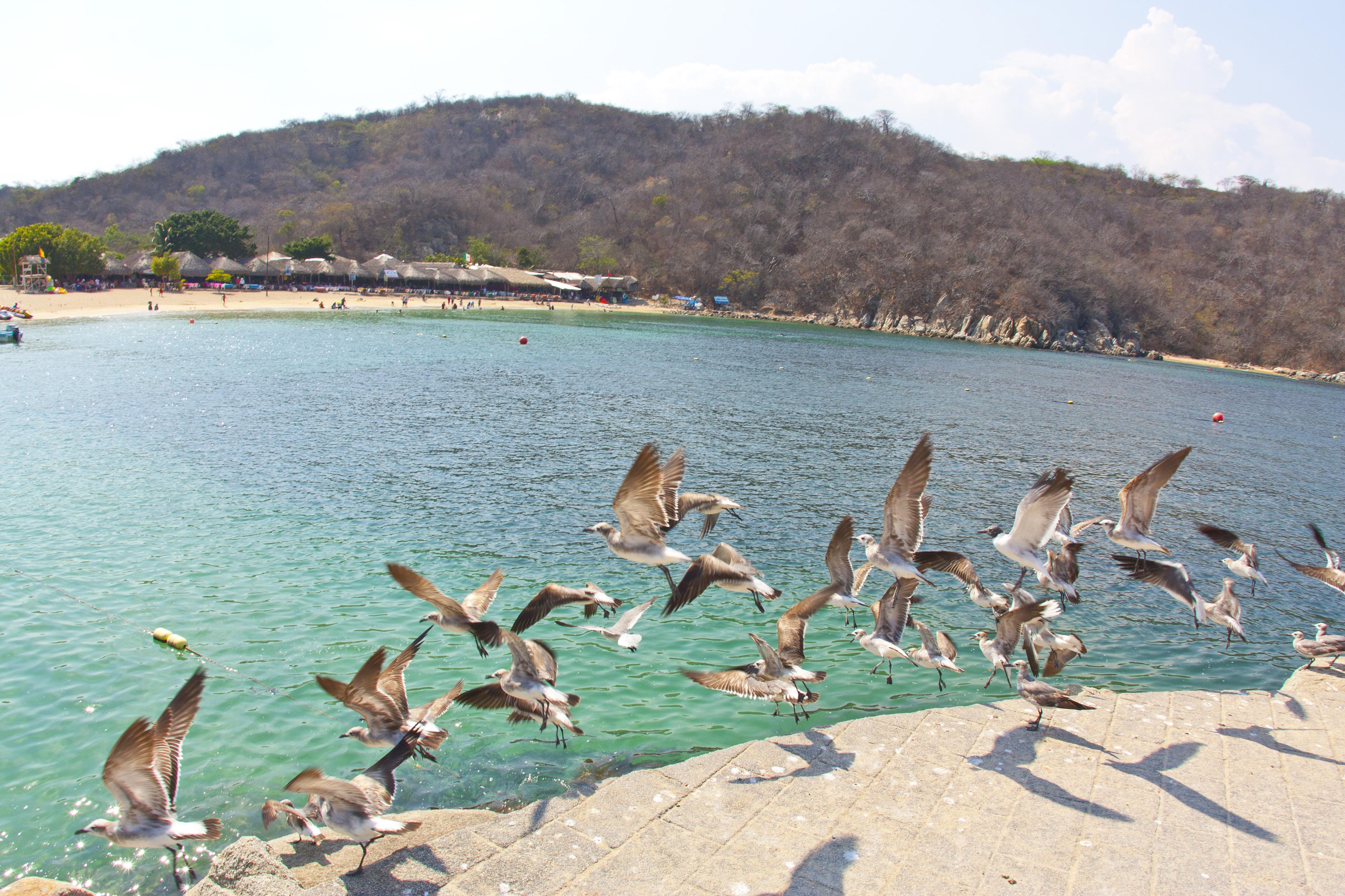 Villa Blanca Huatulco Santa Cruz Huatulco Luaran gambar